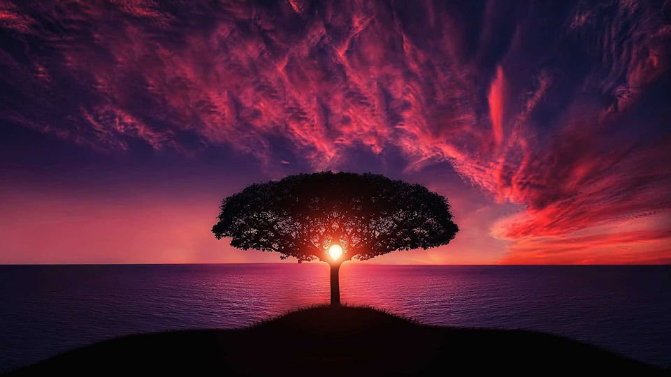 Redeemed