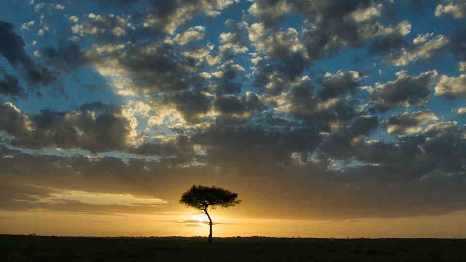 Amazing Grace, how sweet the sound…